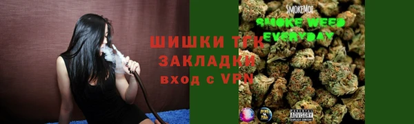 бошки Няндома