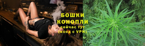 бошки Няндома