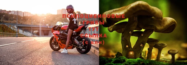 меф Ветлуга