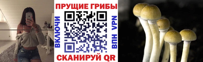 где можно купить наркотик Тобольск Галлюциногенные грибы мицелий