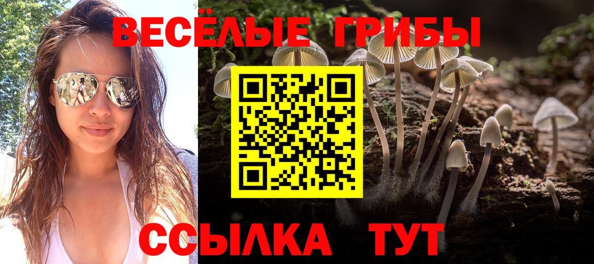 Тобольск  МАРИХУАНА  Hash Oil  Хэш  Мяу-Мяу  Вход с VPN  Cocaine  Каннабис  Мяу-Мяу  Продажа наркотиков  СОЛЬ CK 