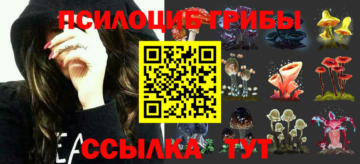 что такое наркотик  Галлюциногенные грибы MAGIC MUSHROOMS  Вход с VPN  Тобольск 